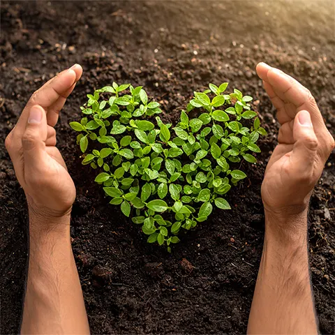 Acompañamiento a Profesionales